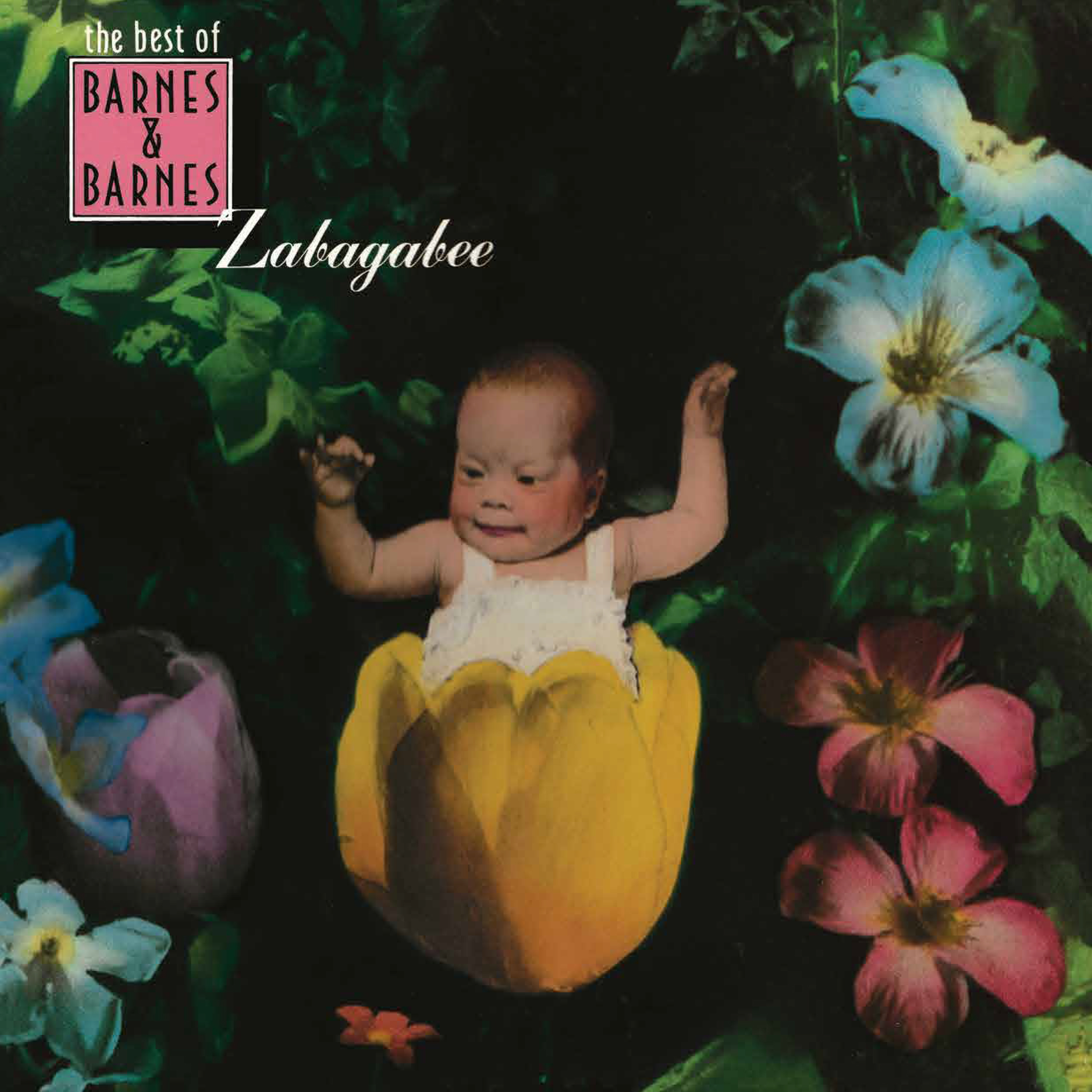 Barnes & Barnes – Zabagabee: The Best Of Barnes & Barnes Vinyl LP