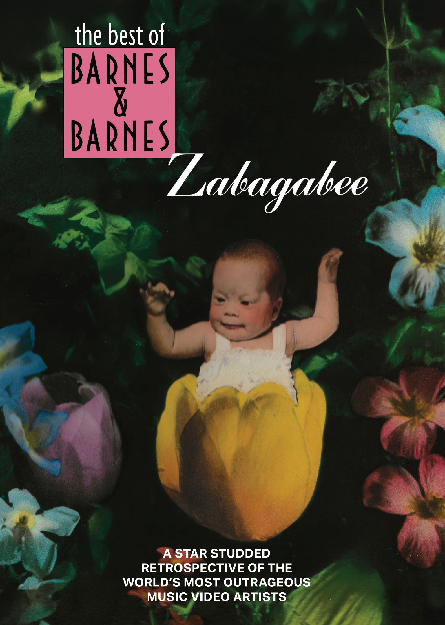 Barnes & Barnes – Zabagabee: The Best Of Barnes & Barnes DVD